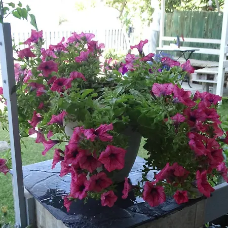 Country house Blue Dreams Almiropotamos