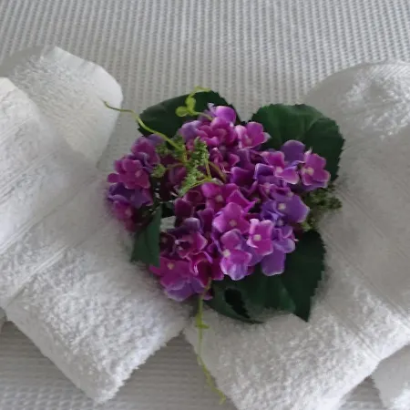 Country house Blue Dreams Almiropotamos