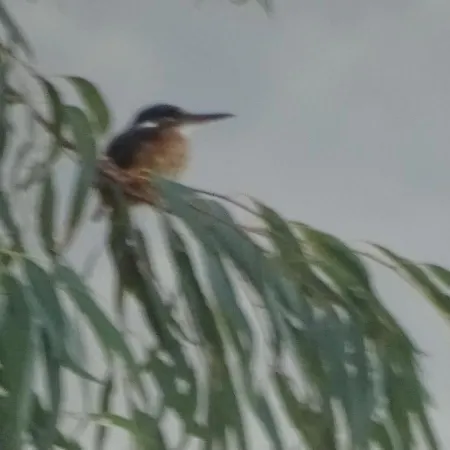 Blue Dreams Αλμυροπόταμος