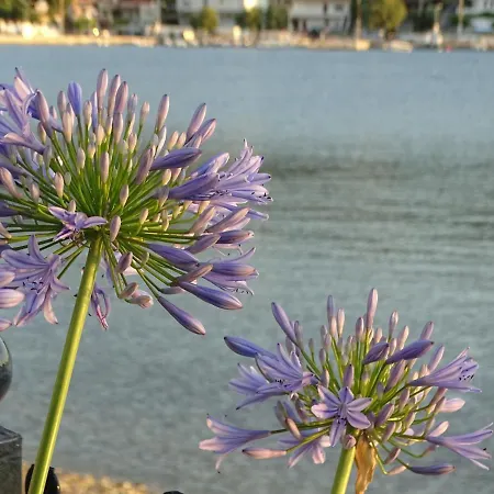 Blue Dreams Αλμυροπόταμος