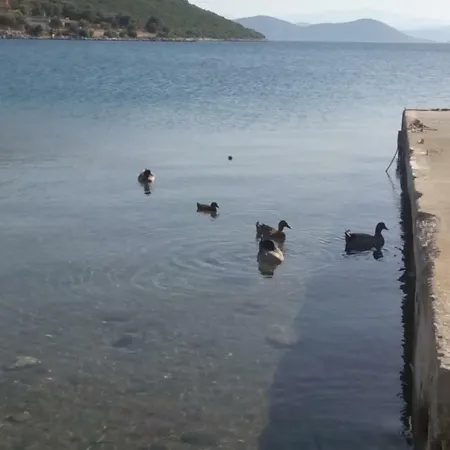 Blue Dreams Εξοχικό σπίτι