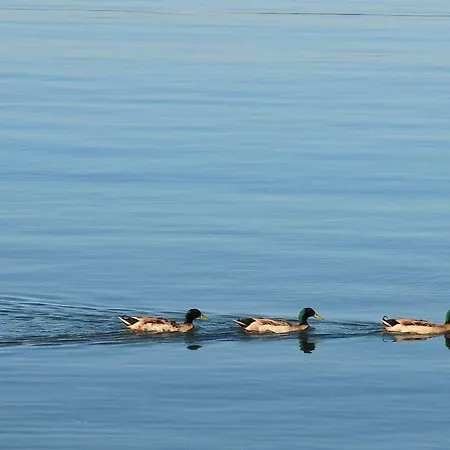 Εξοχικό σπίτι Blue Dreams